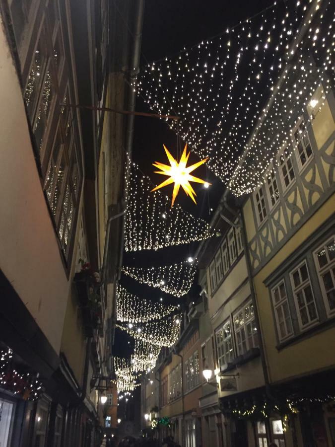 -Apartment Am Luisenpark-Perfekte Lage Im Gruenen Fuer Ihren Aufenthalt Erfurt Exterior foto